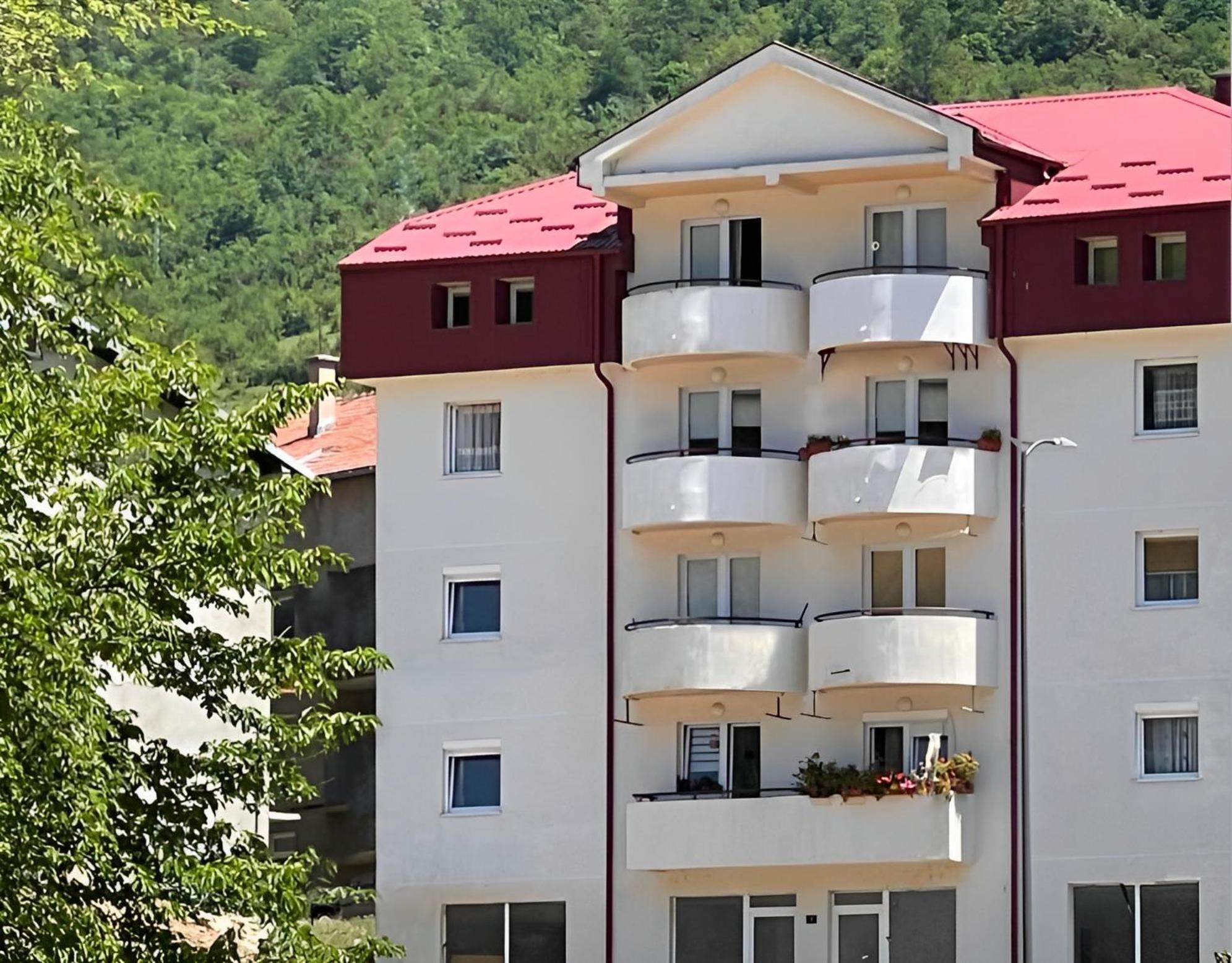 Elena Apartment Pluzine Exterior photo